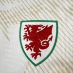 2026 Wales World Cup Away Football jersey Fan edition - Image 5
