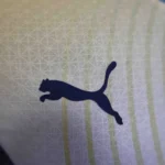 24-25 Manchester City Special Jersey Player Version - Image 6