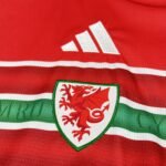 2026 Wales World Cup Home Football jersey Fan edition - Image 4