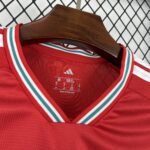 2026 Wales World Cup Home Football jersey Fan edition - Image 3