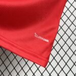 2026 Wales World Cup Home Football jersey Fan edition - Image 6