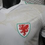 2026 Wales World Cup Away Football jersey Player edition - Image 5