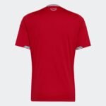 Adidas Wales Home Jersey 2026 - Image 2