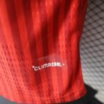 2026/2027 Player Version Long Sleeve Bayern Munich Home Football Shirt 1:1 Thai Quality - Image 10